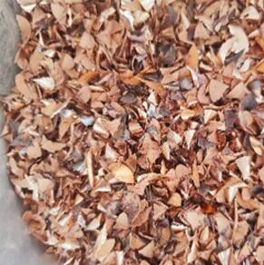 从数小时到几分钟:看bat365在线登录入口科仪如何“刷新